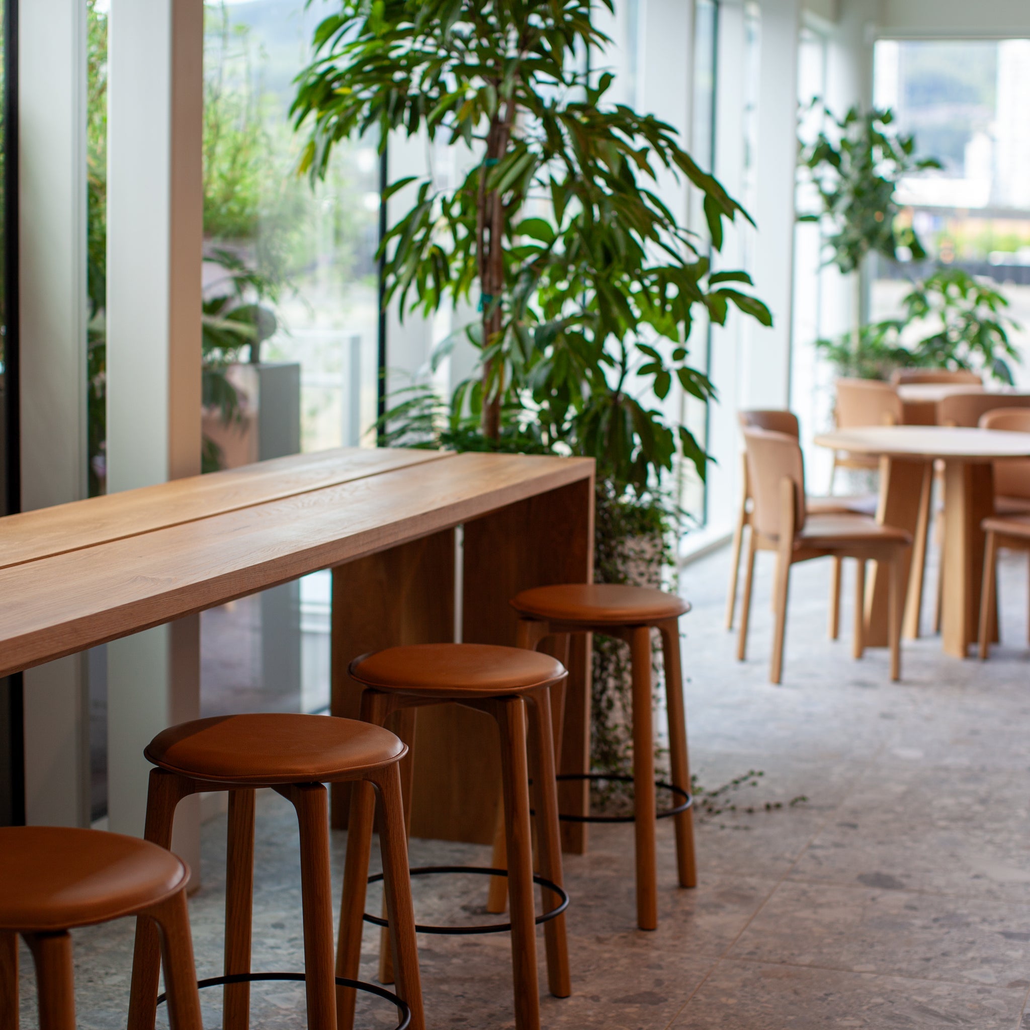 Marcon- Tri city Development